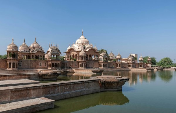 Comment organiser un camping pour observer les renards en Norvège?